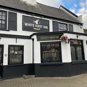 the-white-hart-inn.brighton-hotels-england.com/